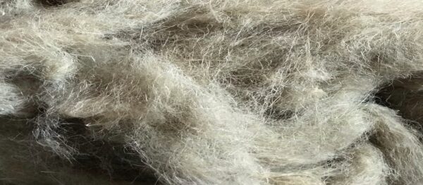 Cottonized Flax